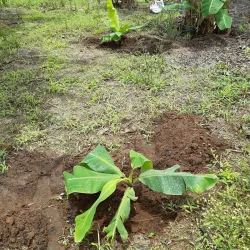 Pande Game Reserve - Lindi