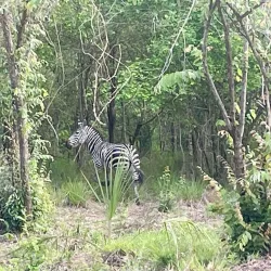 Pande Game Reserve - Lindi