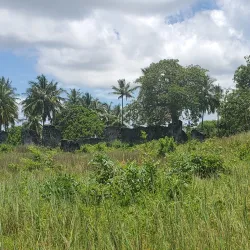 Ruins of Songo Mnara - Lindi