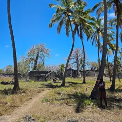 Ruins of Songo Mnara - Lindi