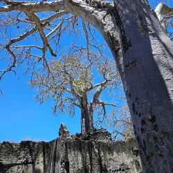 Ruins of Songo Mnara - Lindi
