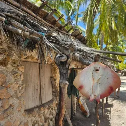 Ruins of Songo Mnara - Lindi
