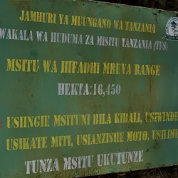 Isanga Forest Reserve - Mbeya