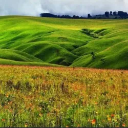 Kitulo National Park - Mbeya