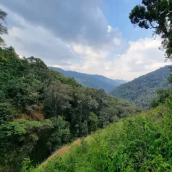 Kitulo National Park - Mbeya