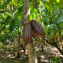 Matema Beach - Mbeya