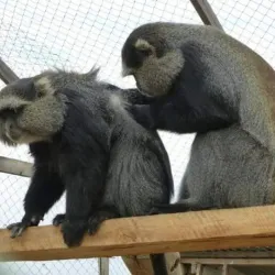 Mbeya Regional Museum - Mbeya