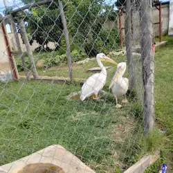 Mbeya Regional Museum - Mbeya