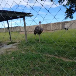 Mbeya Regional Museum - Mbeya