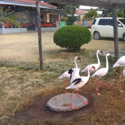 Mbeya Regional Museum - Mbeya