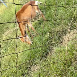 Mbeya Regional Museum - Mbeya