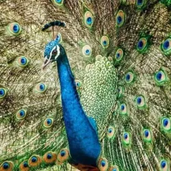 Mbeya Regional Museum - Mbeya