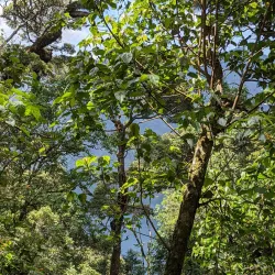 Ngozi Crater Lake - Mbeya