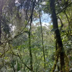 Ngozi Crater Lake - Mbeya