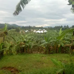 Rungwe Volcanic Province - Mbeya