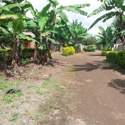 Rungwe Volcanic Province - Mbeya