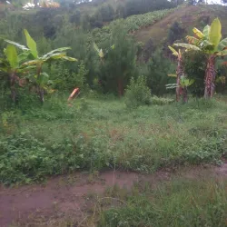 Rungwe Volcanic Province - Mbeya