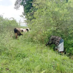 Rungwe Volcanic Province - Mbeya