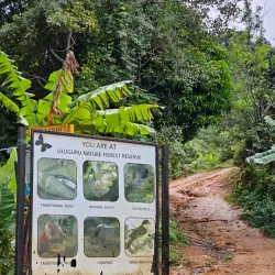 Mabanda Waterfalls - Morogoro