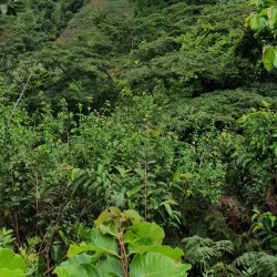 Mabanda Waterfalls - Morogoro
