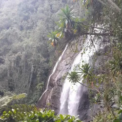 Mgeta Forest Reserve - Morogoro