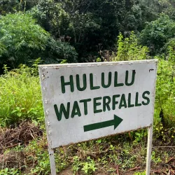 Mgeta Forest Reserve - Morogoro