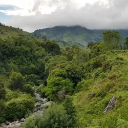 Mgeta Forest Reserve - Morogoro