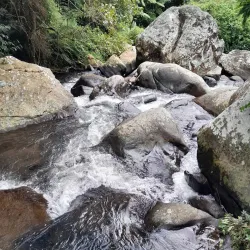 Mgeta Forest Reserve - Morogoro