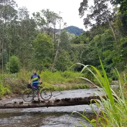 Mgeta Forest Reserve - Morogoro