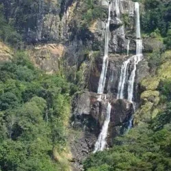 Mgeta Forest Reserve - Morogoro