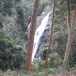 Mgeta Forest Reserve - Morogoro