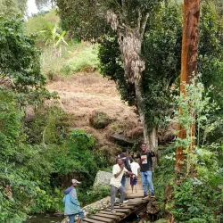 Mgeta Forest Reserve - Morogoro