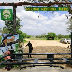 Mikumi National Park (nearby) - Morogoro