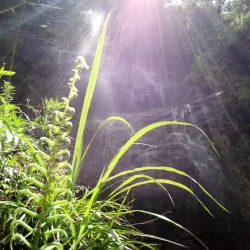 Morogoro Museum - Morogoro