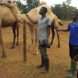 Sokoine University of Agriculture Botanical Gardens - Morogoro