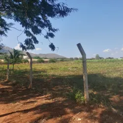 Sokoine University of Agriculture Botanical Gardens - Morogoro
