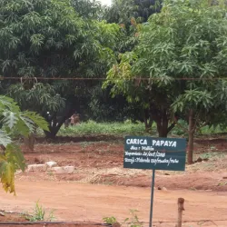 Sokoine University of Agriculture Botanical Gardens - Morogoro