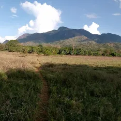 Sokoine University of Agriculture Botanical Gardens - Morogoro