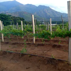 Sokoine University of Agriculture Botanical Gardens - Morogoro
