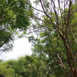 Sokoine University of Agriculture Botanical Gardens - Morogoro