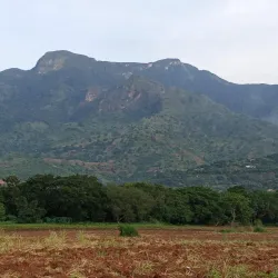 Uluguru Mountains Hiking Trails - Morogoro