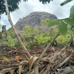 Uluguru Mountains Hiking Trails - Morogoro