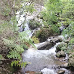 Uluguru Mountains Hiking Trails - Morogoro