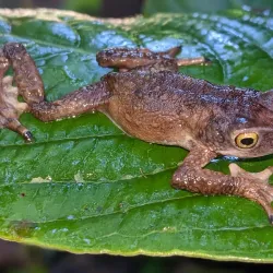 Uluguru Nature Reserve - Morogoro