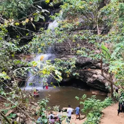 Uluguru Nature Reserve - Morogoro