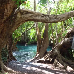 Hot Springs of Mwanza - Mwanza