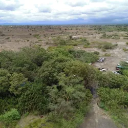Hot Springs of Mwanza - Mwanza