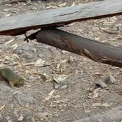 Hot Springs of Mwanza - Mwanza