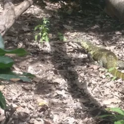 Hot Springs of Mwanza - Mwanza