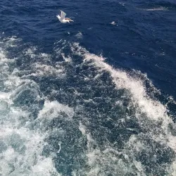 Lake Victoria - Mwanza